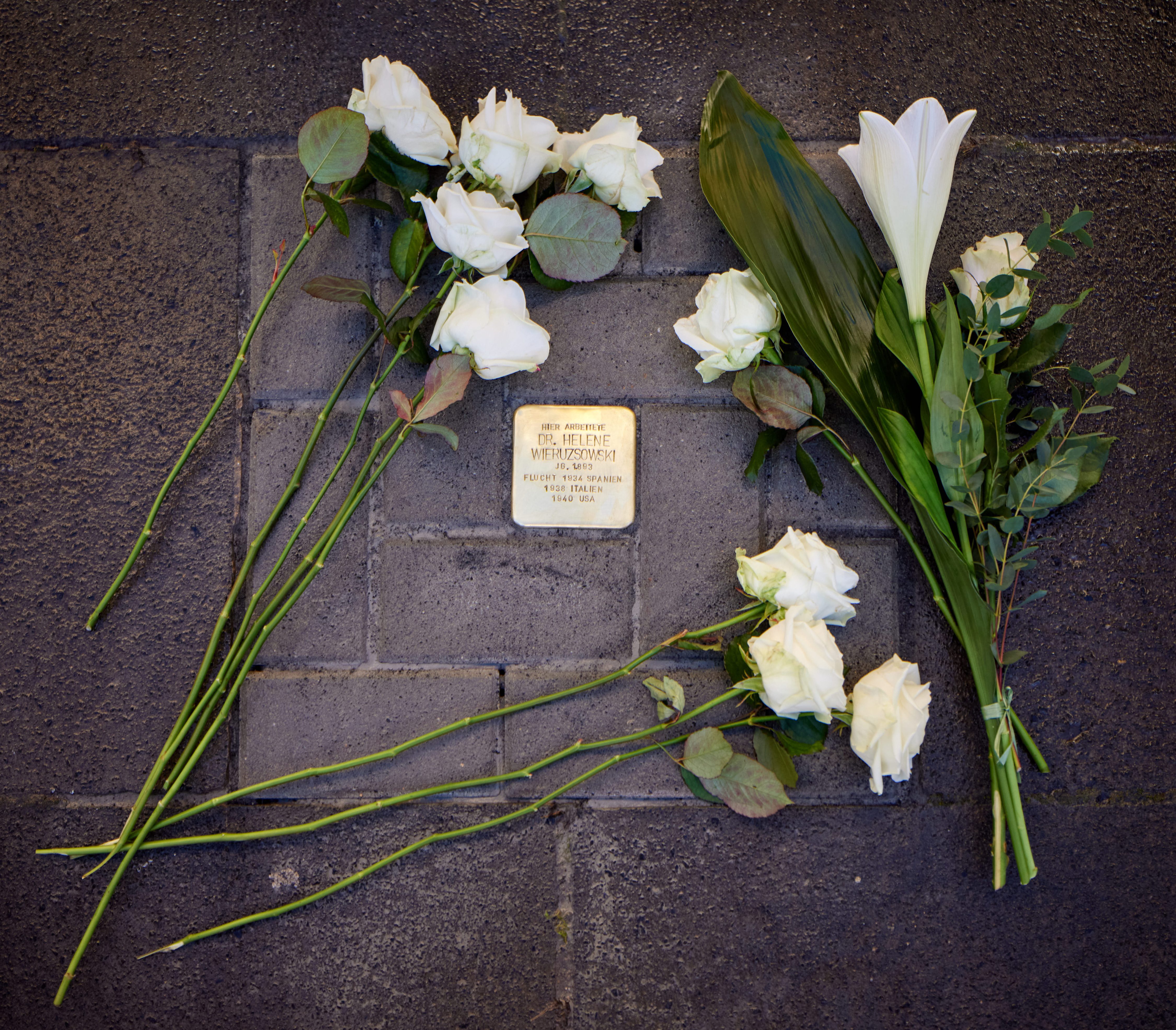 Der Stolperstein für Prof. Dr. Helene Wieruszowski wurde vor dem Regina-Pacis-Weg 7 verlegt. Im dortigen Gebäudeflügel war ihre frühere Arbeitsstätte, die Universitätsbibliothek, untergebracht.