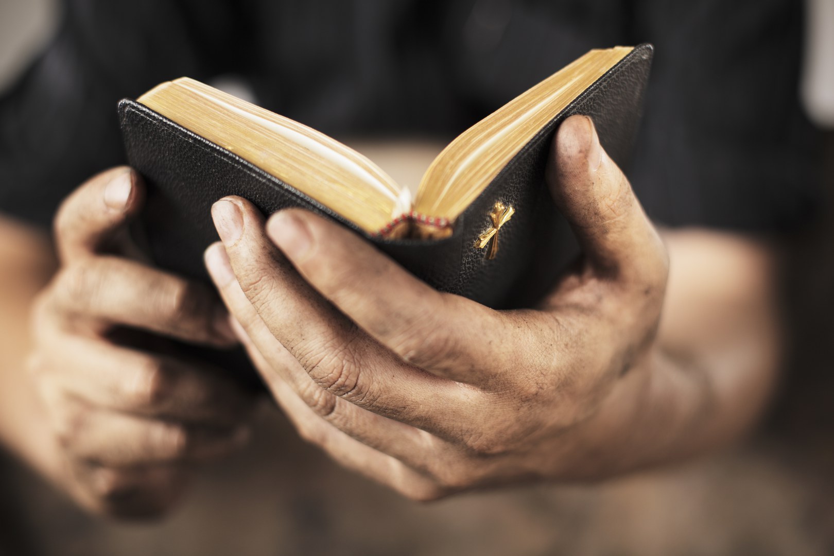 One hand holding a bible