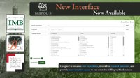 Brepolis new interface