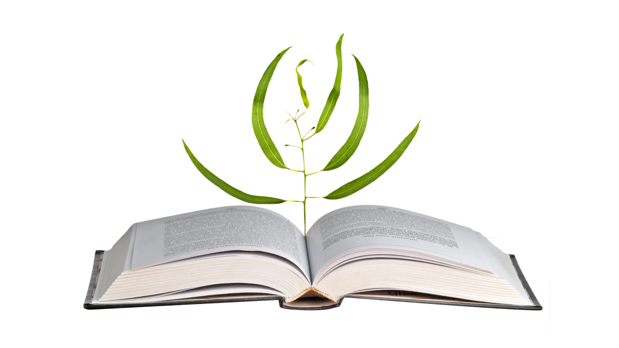 The USL presents: Selected publications on sustainability.